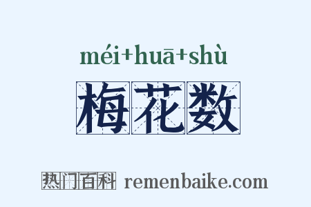 梅花数是什么意思的图片